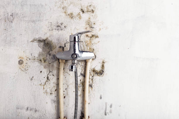 Best Commercial Mold Remediation in Edmond, OK