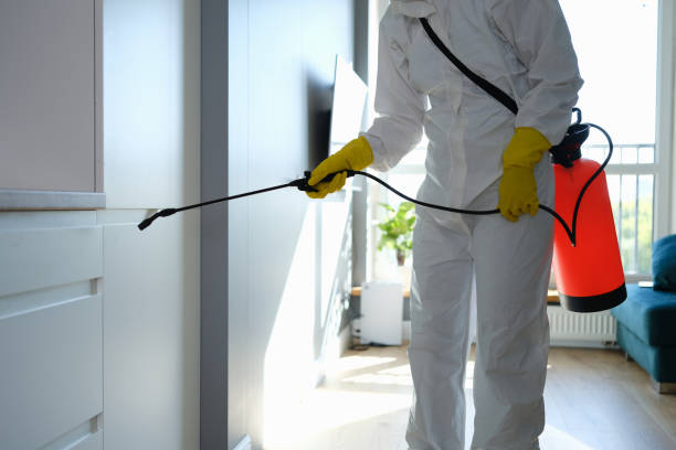 Edmond, OK Mold Remediation Company